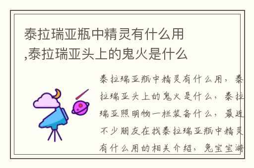 泰拉瑞亚瓶中精灵有什么用,泰拉瑞亚头上的鬼火是什么