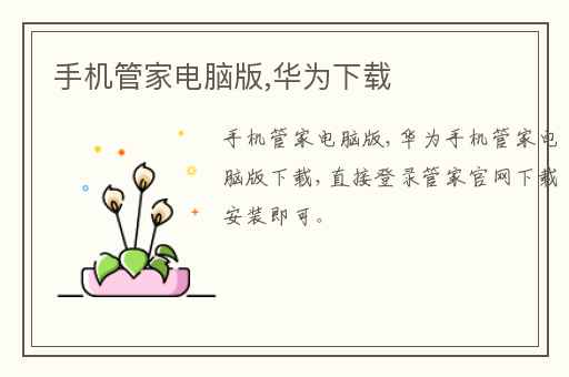 手机管家电脑版,华为下载