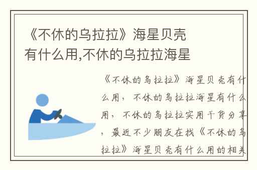 《不休的乌拉拉》海星贝壳有什么用,不休的乌拉拉海星有什么用