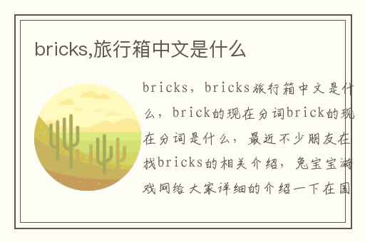bricks,旅行箱中文是什么