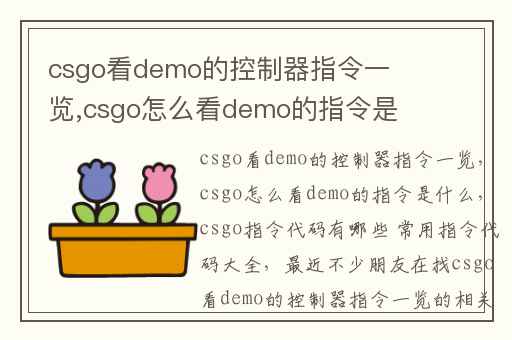 csgo看demo的控制器指令一览,csgo怎么看demo的指令是什么