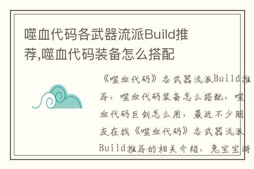 噬血代码各武器流派Build推荐,噬血代码装备怎么搭配