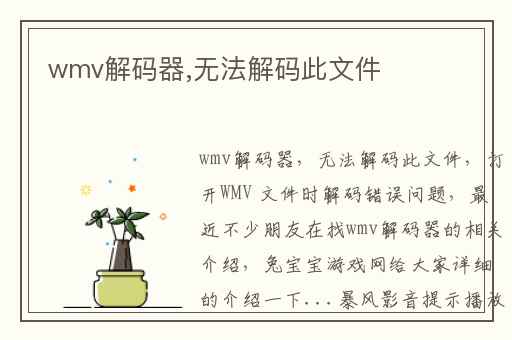 wmv解码器,无法解码此文件