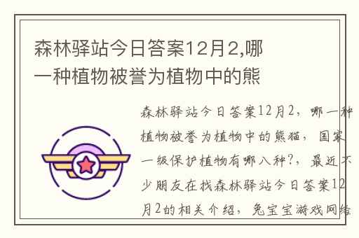 森林驿站今日答案12月2,哪一种植物被誉为植物中的熊猫