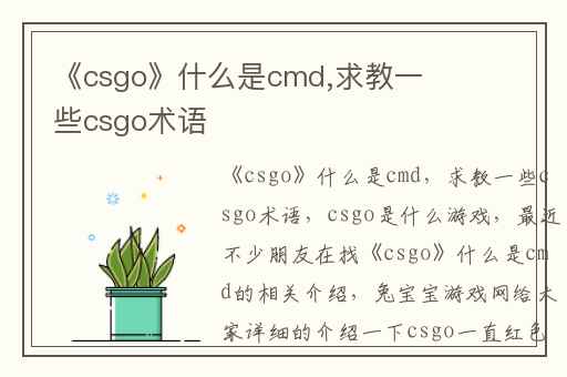 《csgo》什么是cmd,求教一些csgo术语