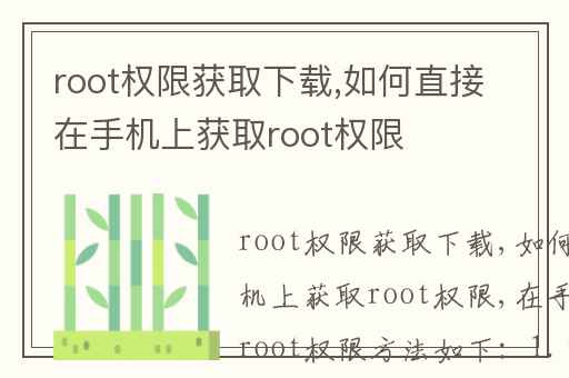 root权限获取下载,如何直接在手机上获取root权限