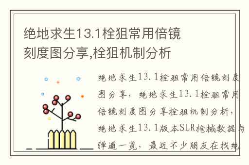 绝地求生13.1栓狙常用倍镜刻度图分享,栓狙机制分析